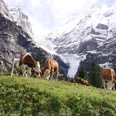 Firstsunne Grindelwald Exterior foto