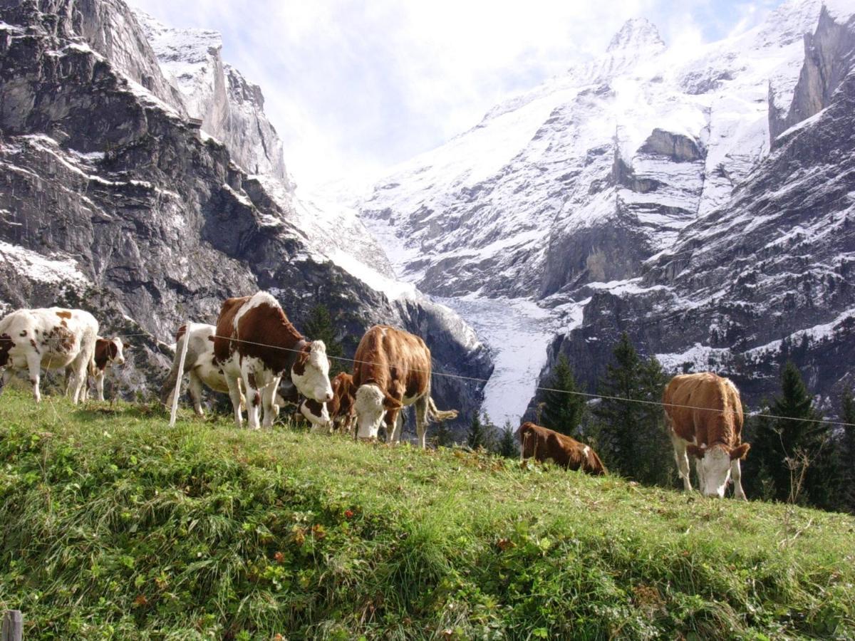 Firstsunne Grindelwald Exterior foto